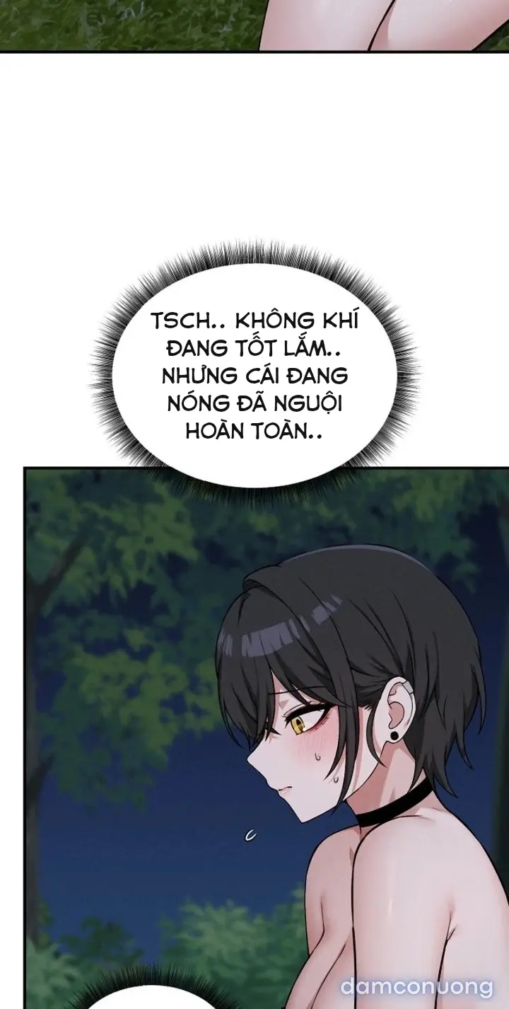 Trò chơi cờ bàn thú vị: 