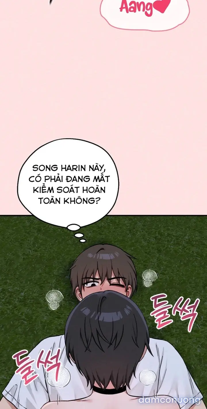 Trò chơi cờ bàn thú vị: 