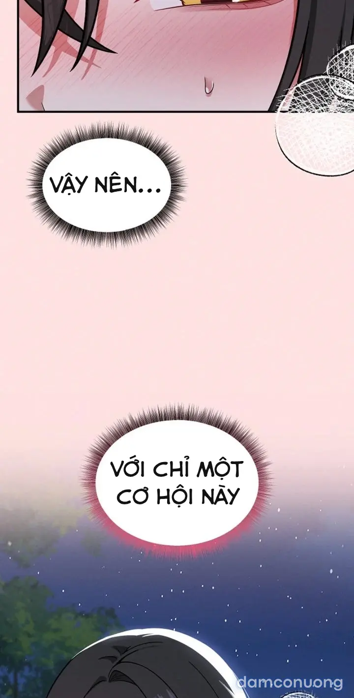Trò chơi cờ bàn thú vị: 