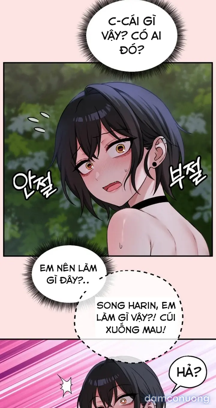 Trò chơi cờ bàn thú vị: 