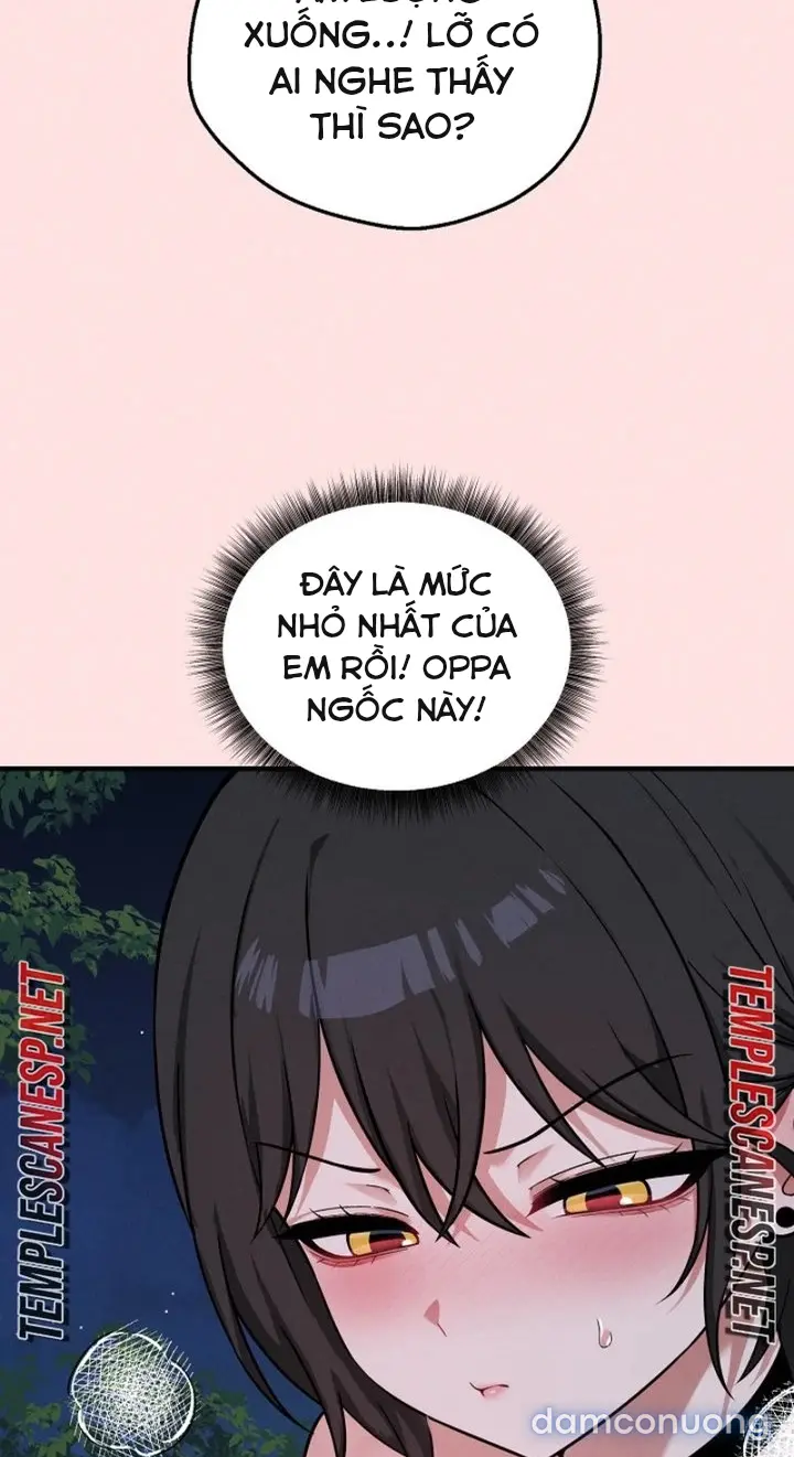 Trò chơi cờ bàn thú vị: 