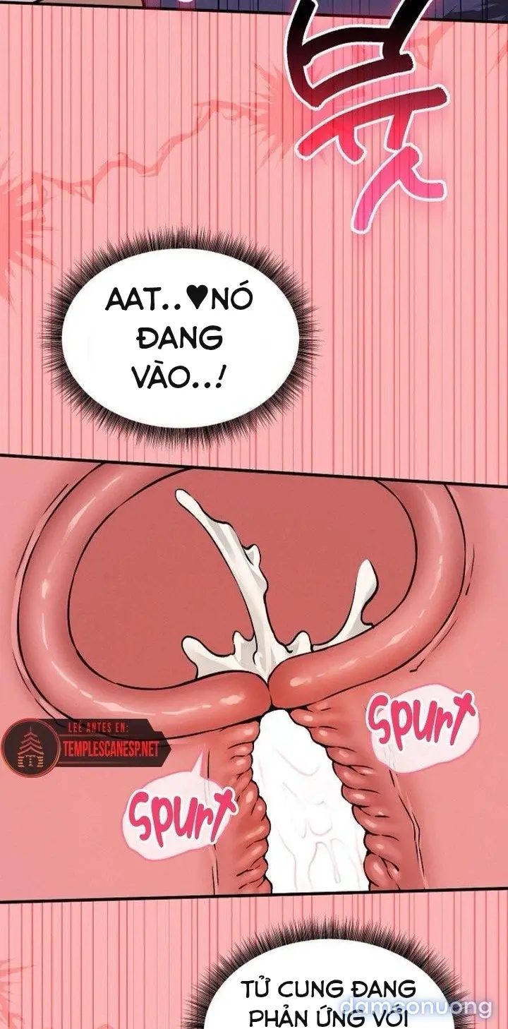 Trò chơi cờ bàn thú vị: 