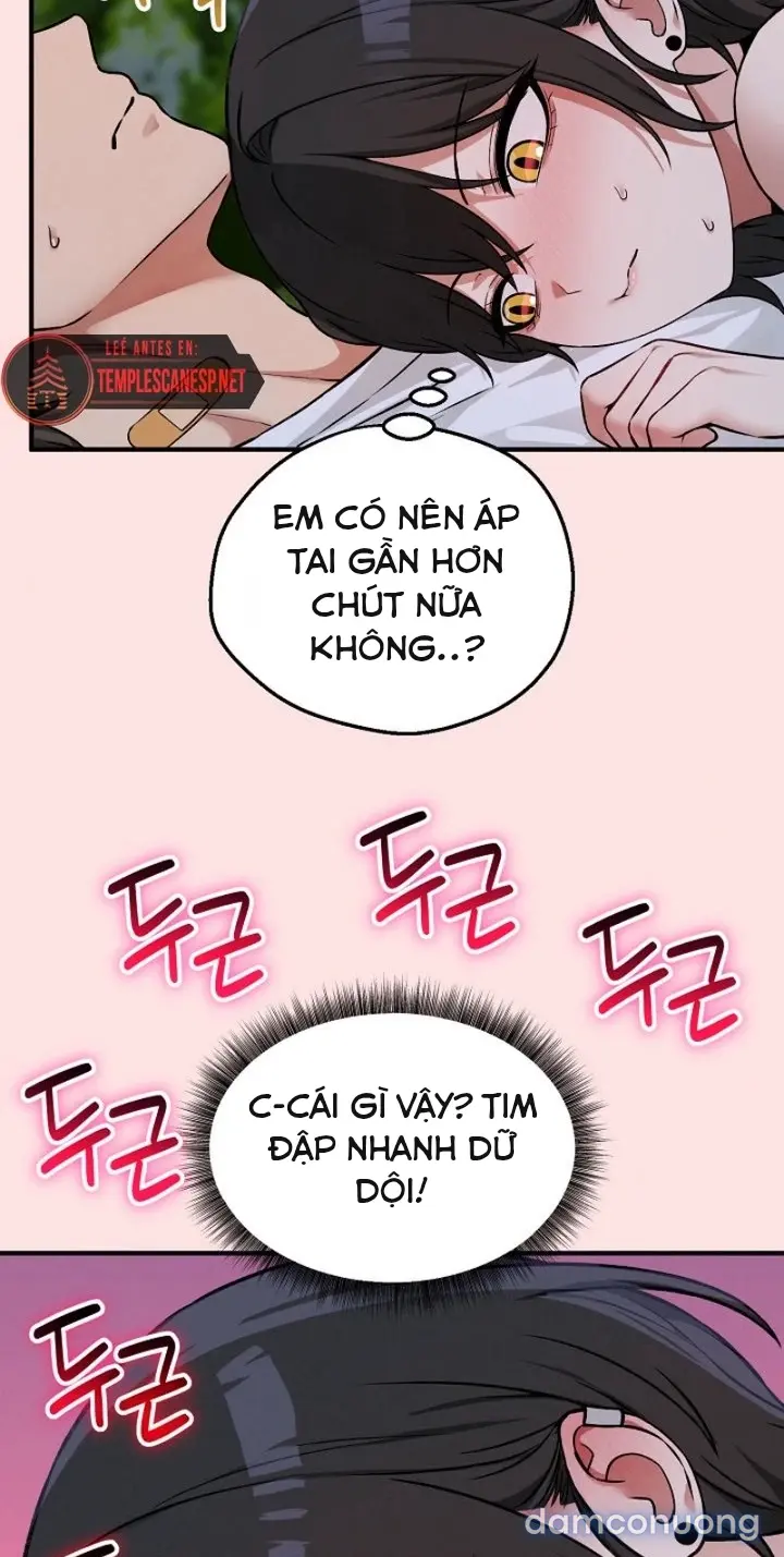 Trò chơi cờ bàn thú vị: 