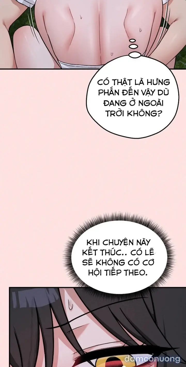 Trò chơi cờ bàn thú vị: 