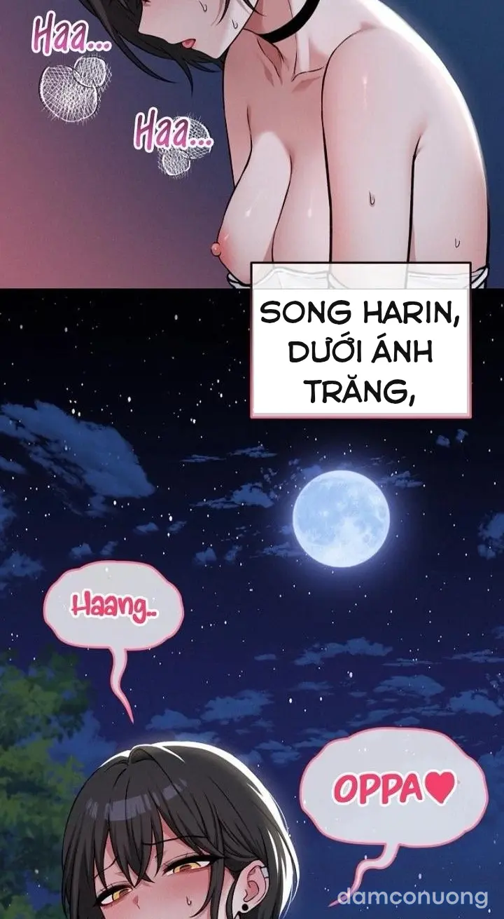Trò chơi cờ bàn thú vị: 