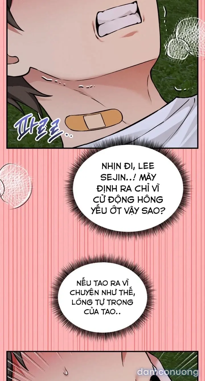 Trò chơi cờ bàn thú vị: 