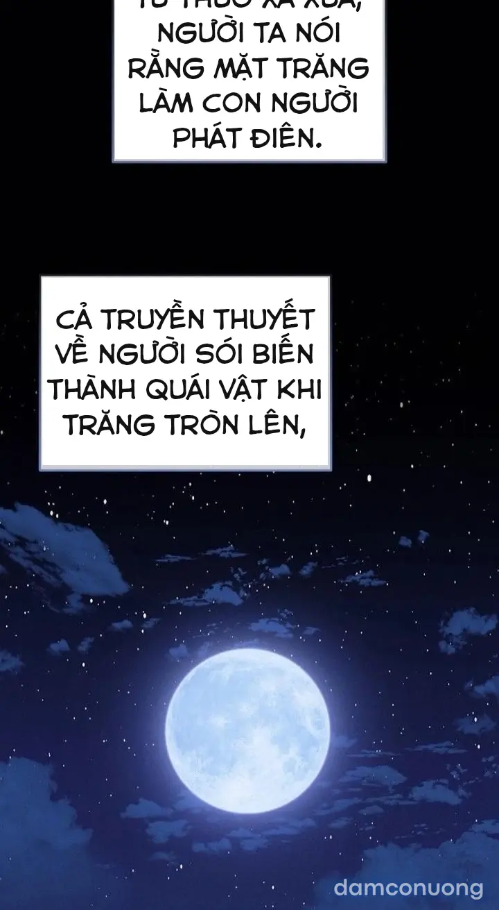 Trò chơi cờ bàn thú vị: 