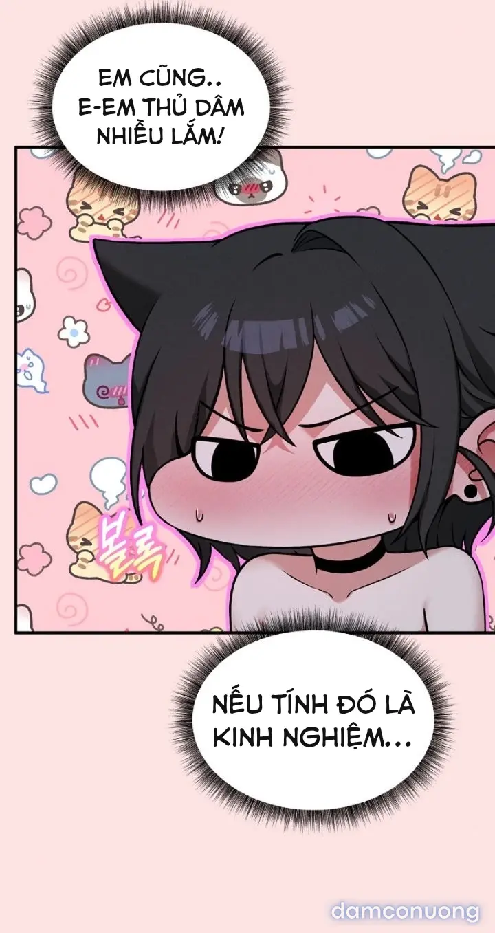 Trò chơi cờ bàn thú vị: 
