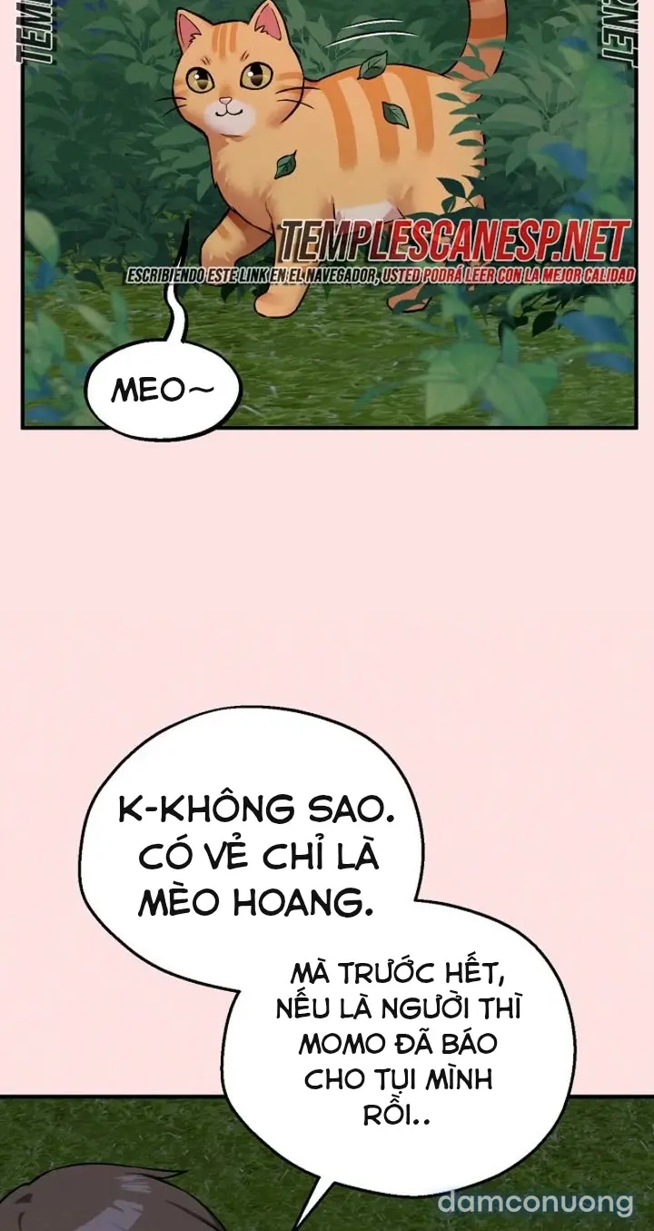Trò chơi cờ bàn thú vị: 
