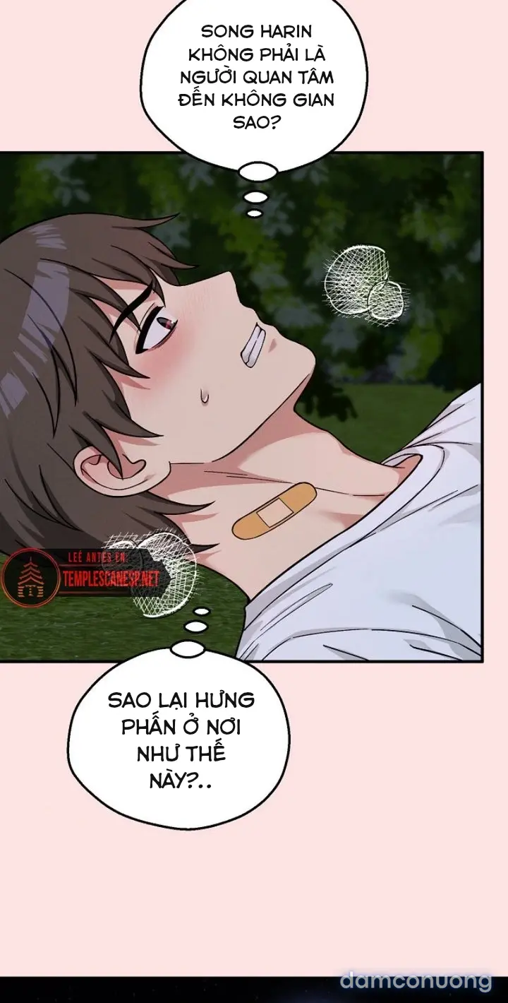 Trò chơi cờ bàn thú vị: 