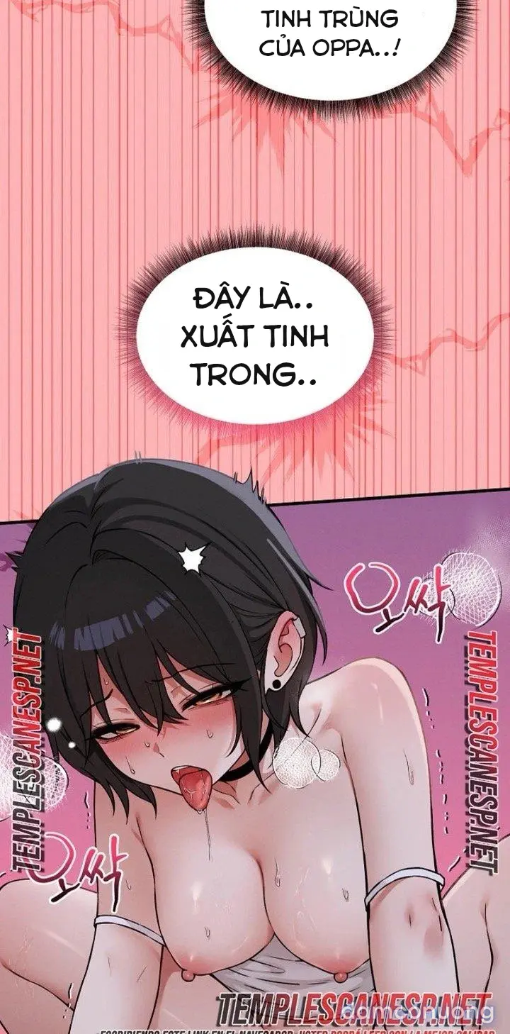 Trò chơi cờ bàn thú vị: 