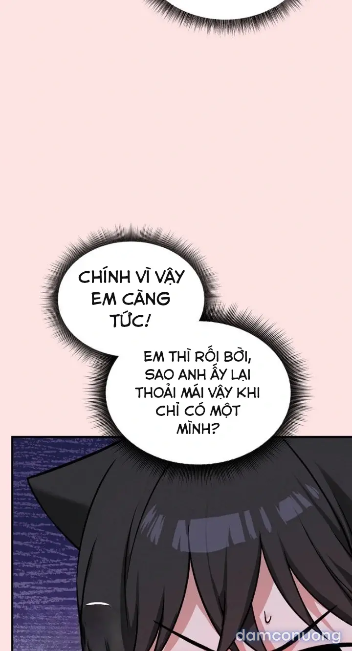 Trò chơi cờ bàn thú vị: 