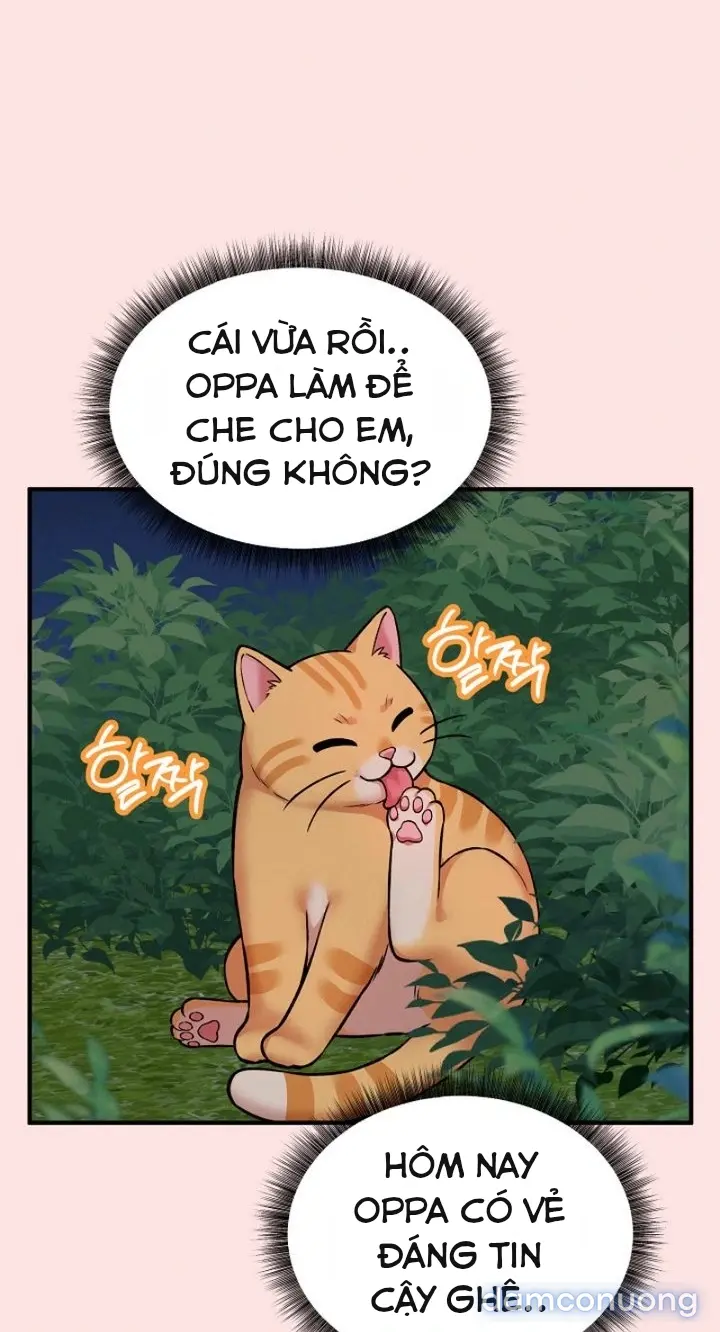 Trò chơi cờ bàn thú vị: 