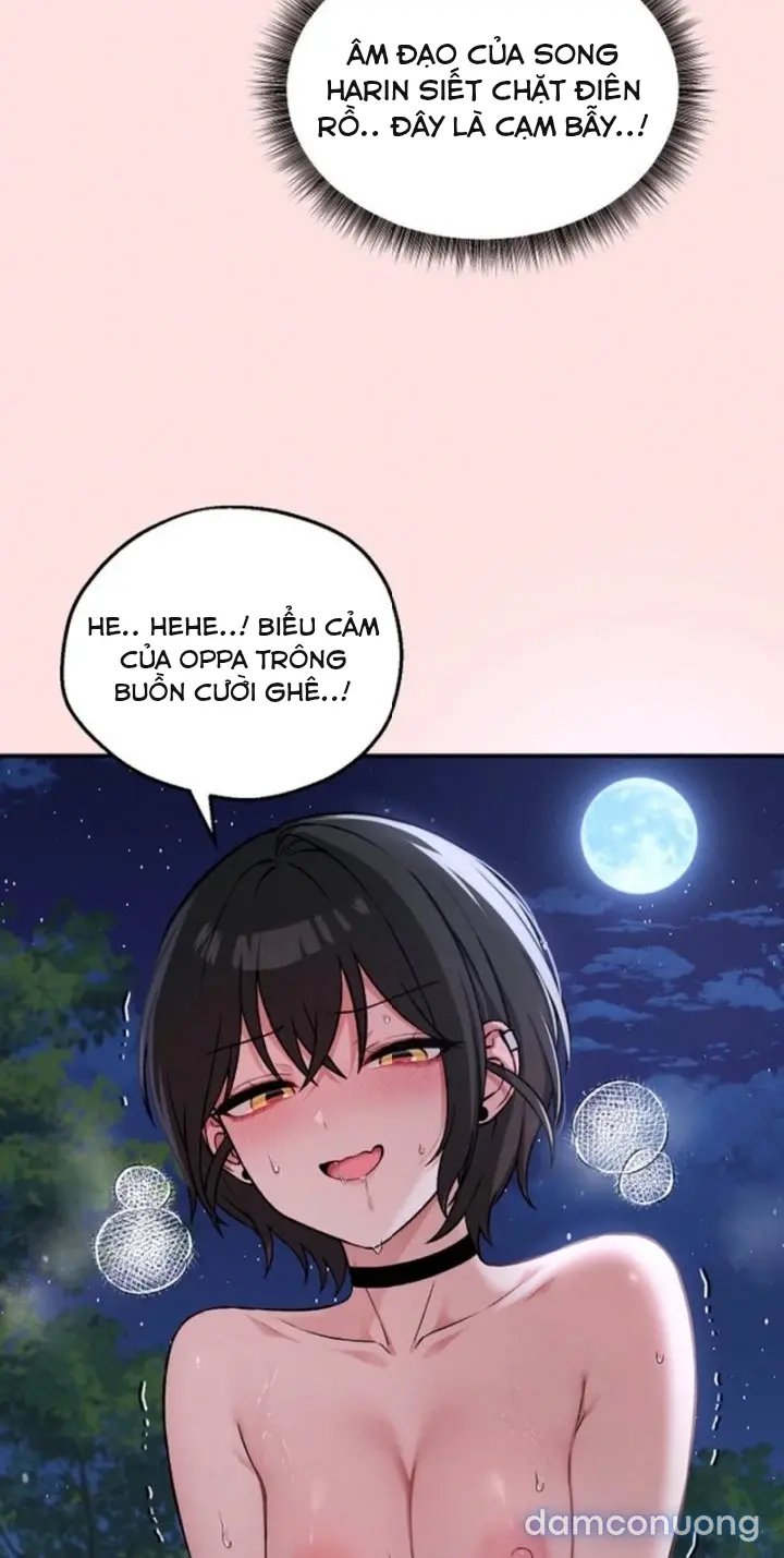 Trò chơi cờ bàn thú vị: 