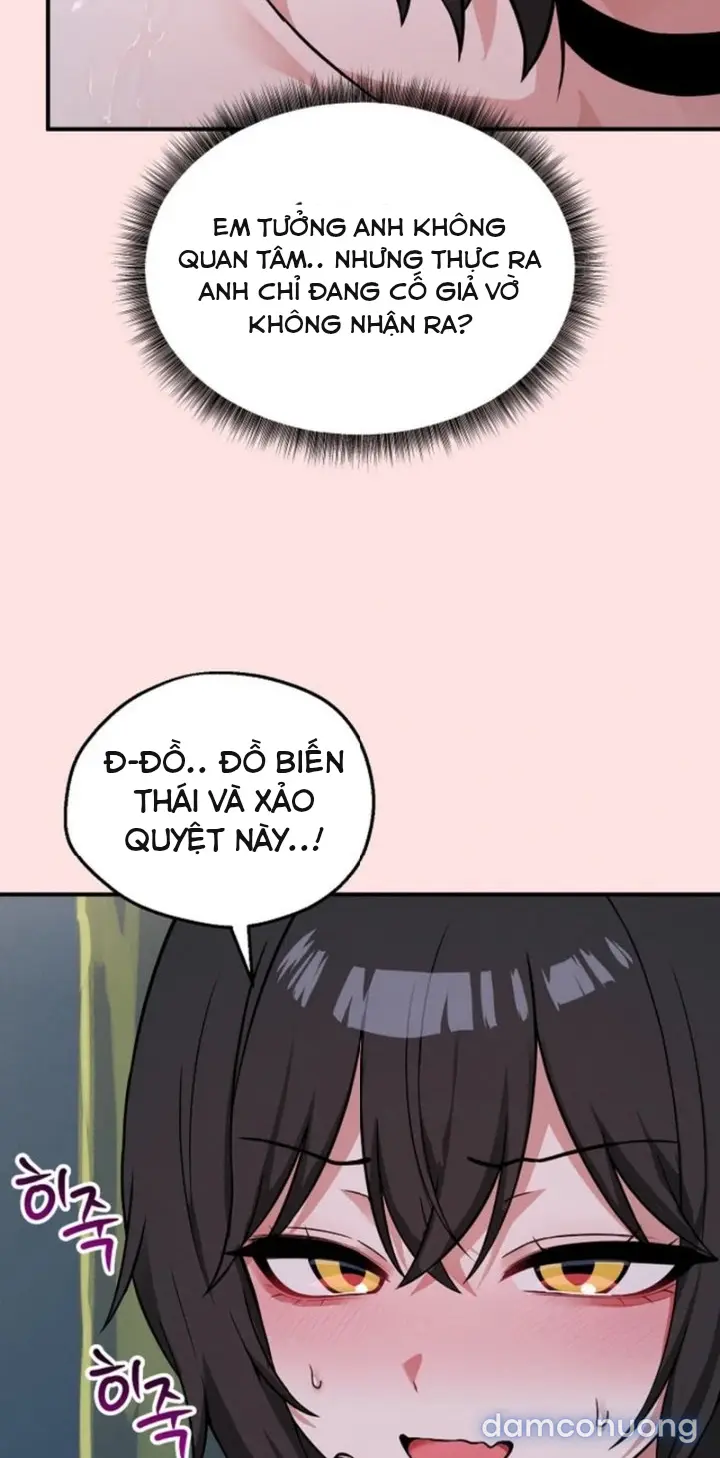 Trò chơi cờ bàn thú vị: 