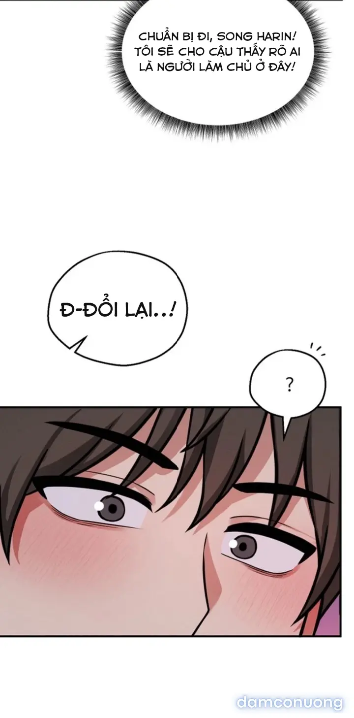 Trò chơi cờ bàn thú vị: 