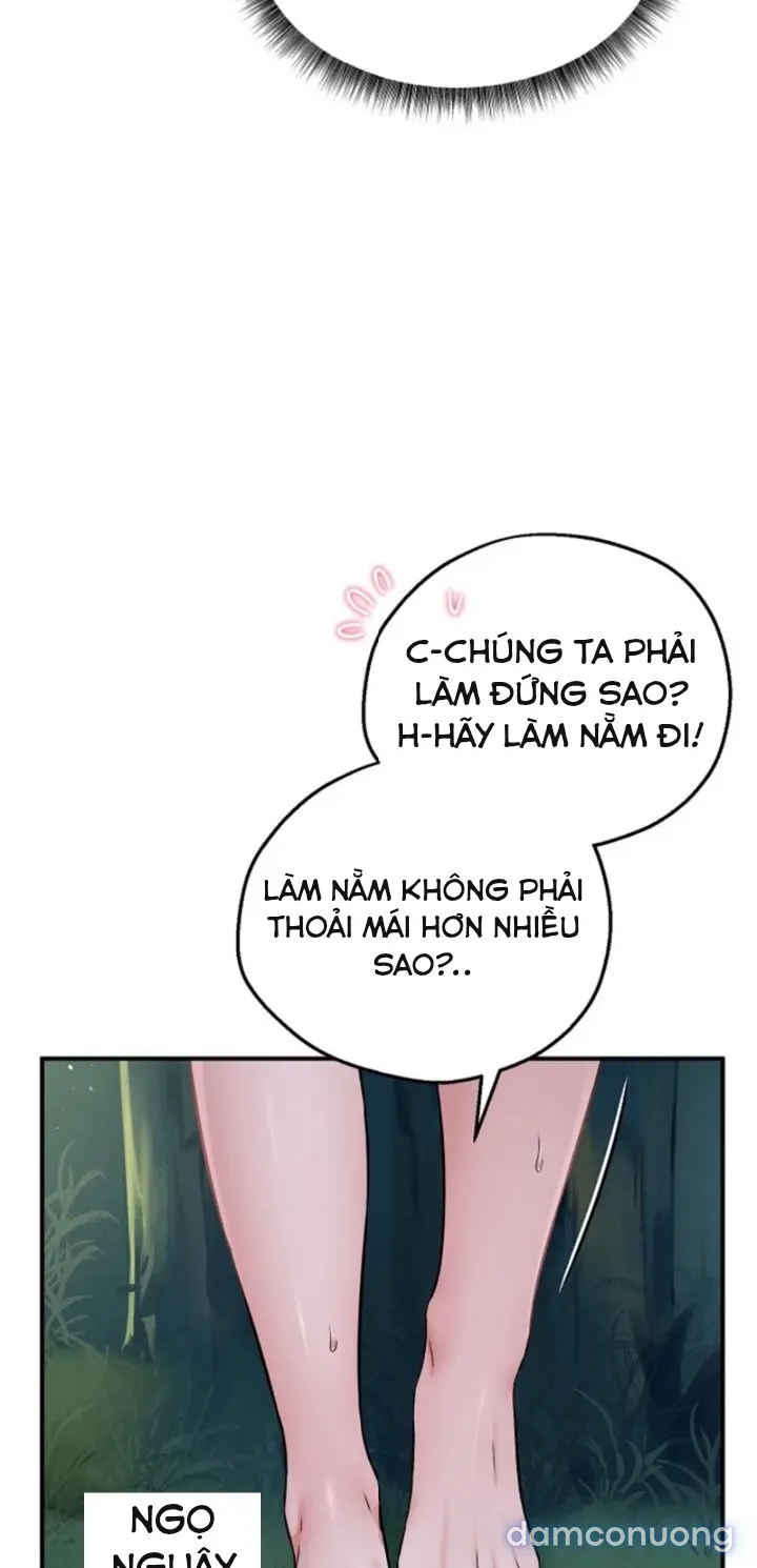 Trò chơi cờ bàn thú vị: 