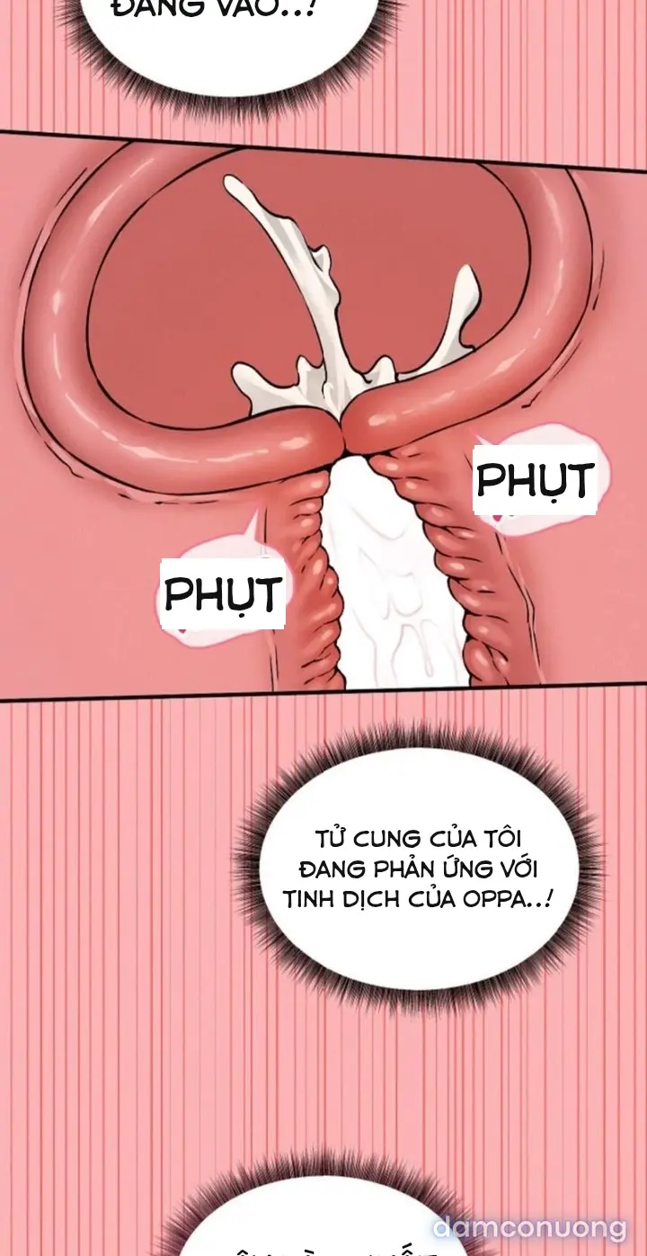 Trò chơi cờ bàn thú vị: 