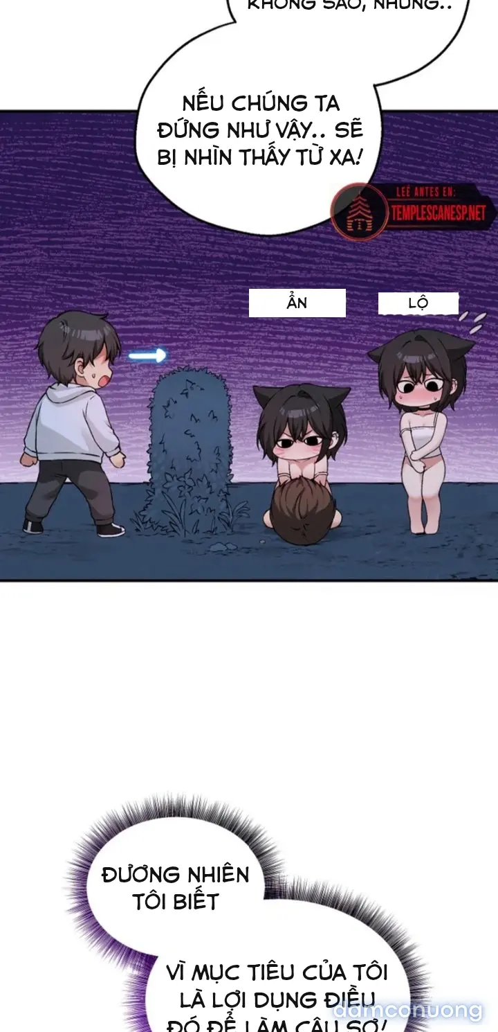Trò chơi cờ bàn thú vị: 