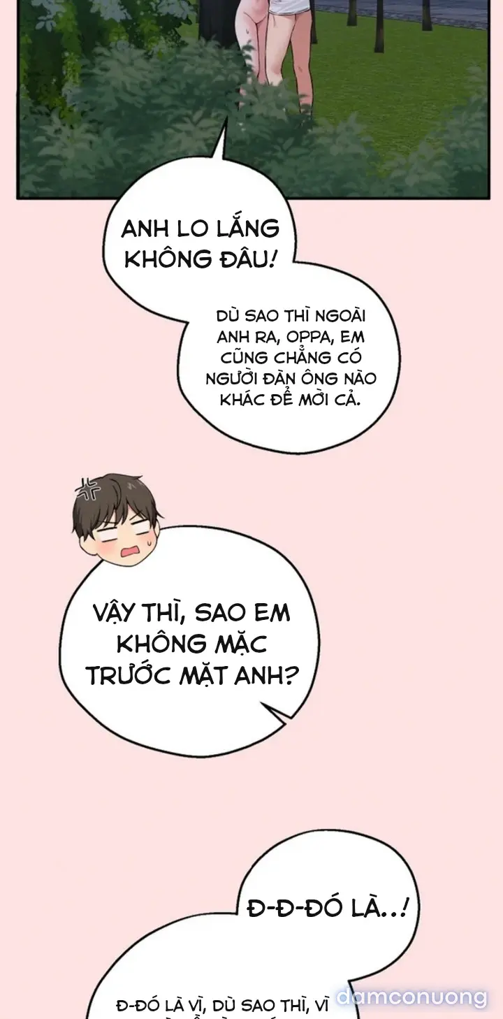 Trò chơi cờ bàn thú vị: 
