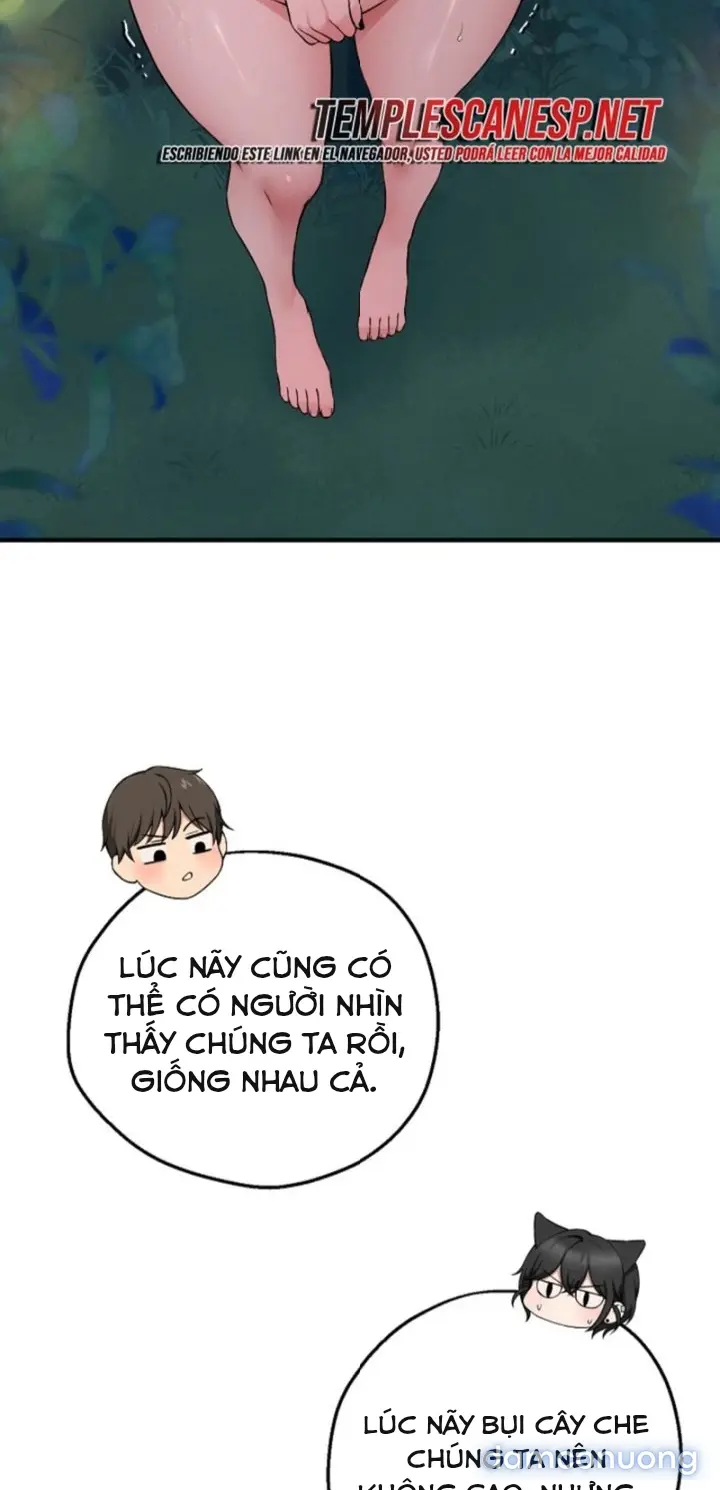 Trò chơi cờ bàn thú vị: 