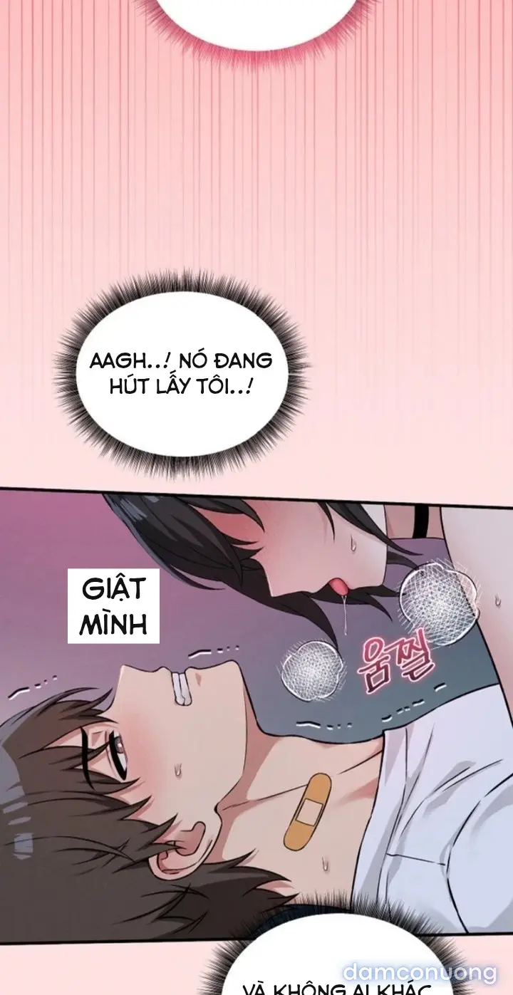 Trò chơi cờ bàn thú vị: 