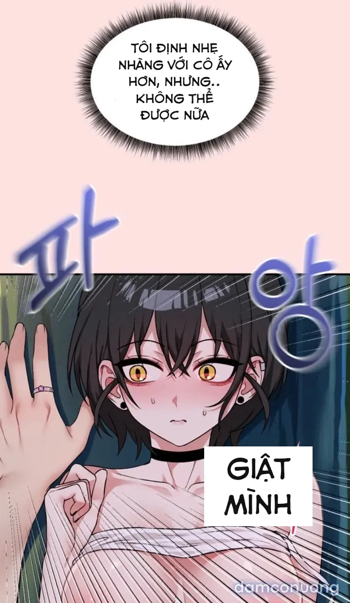 Trò chơi cờ bàn thú vị: 