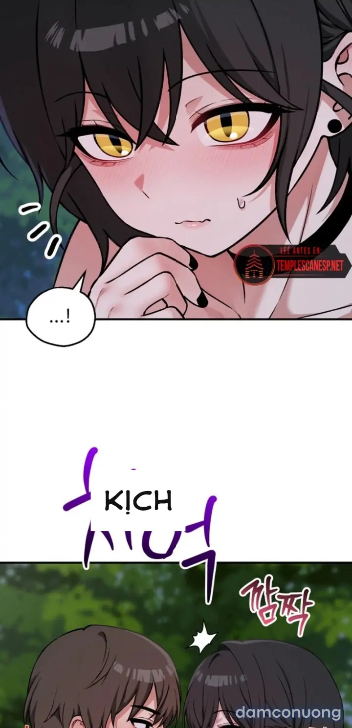 Trò chơi cờ bàn thú vị: 