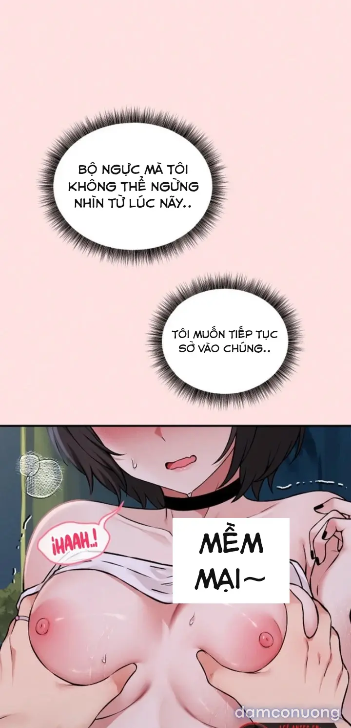 Trò chơi cờ bàn thú vị: 