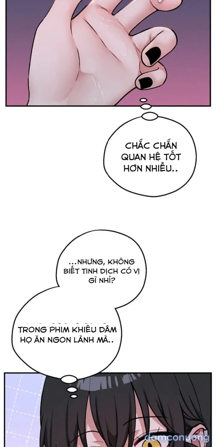 Trò chơi cờ bàn thú vị: 