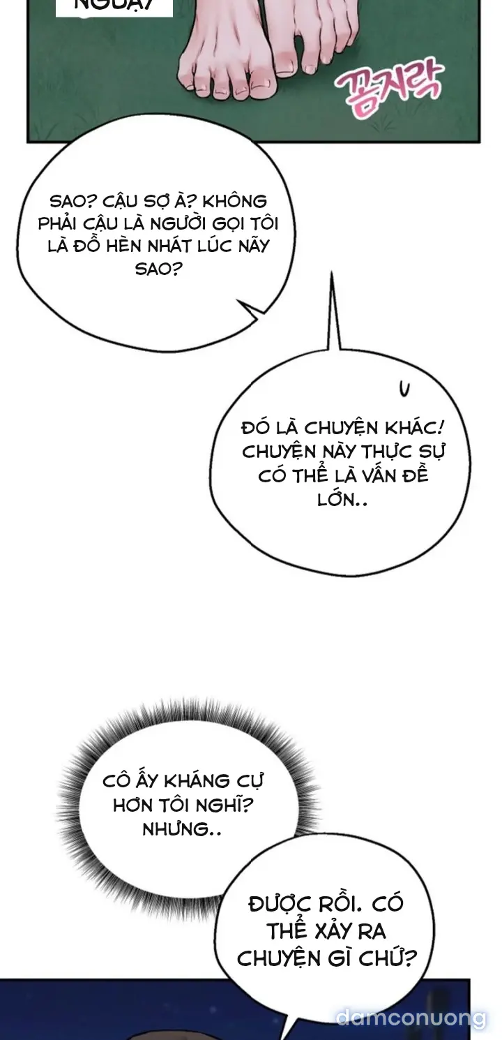 Trò chơi cờ bàn thú vị: 