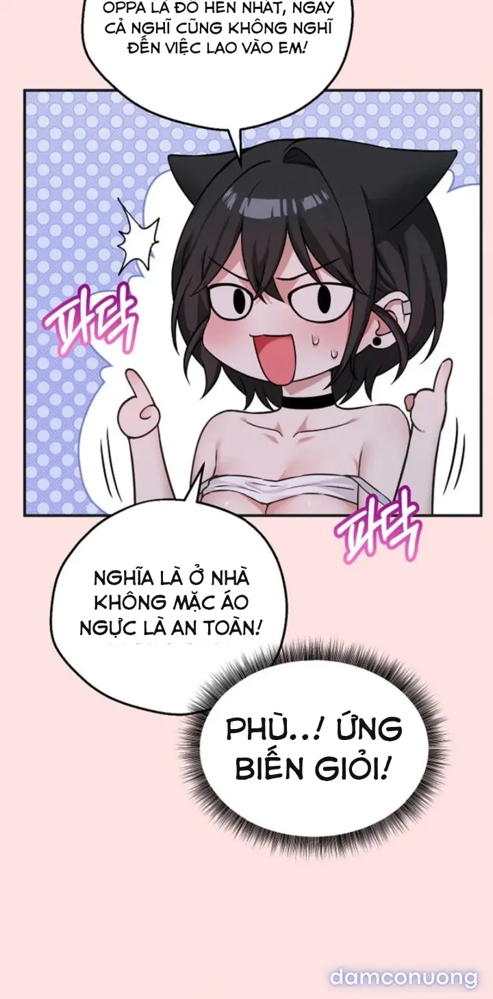 Trò chơi cờ bàn thú vị: 