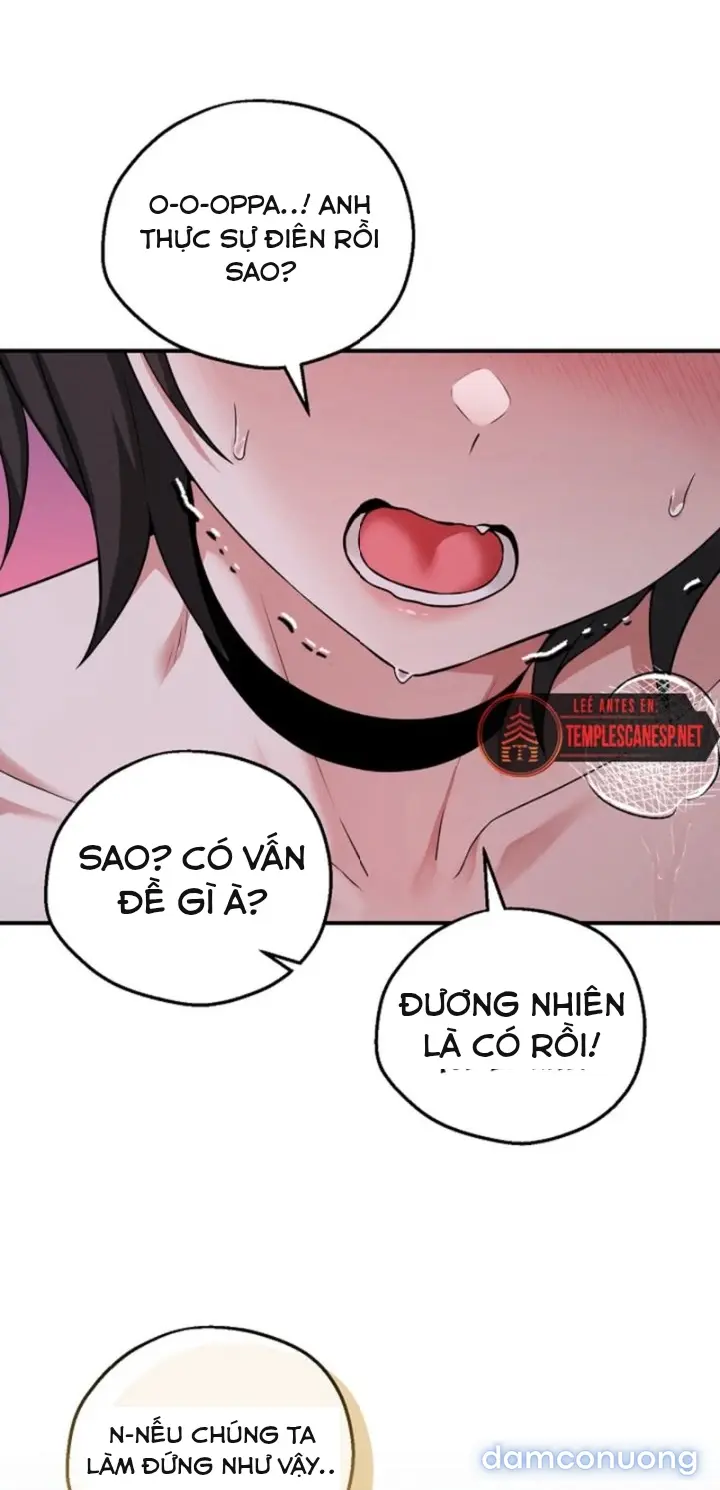 Trò chơi cờ bàn thú vị: 