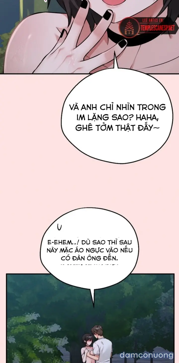 Trò chơi cờ bàn thú vị: 