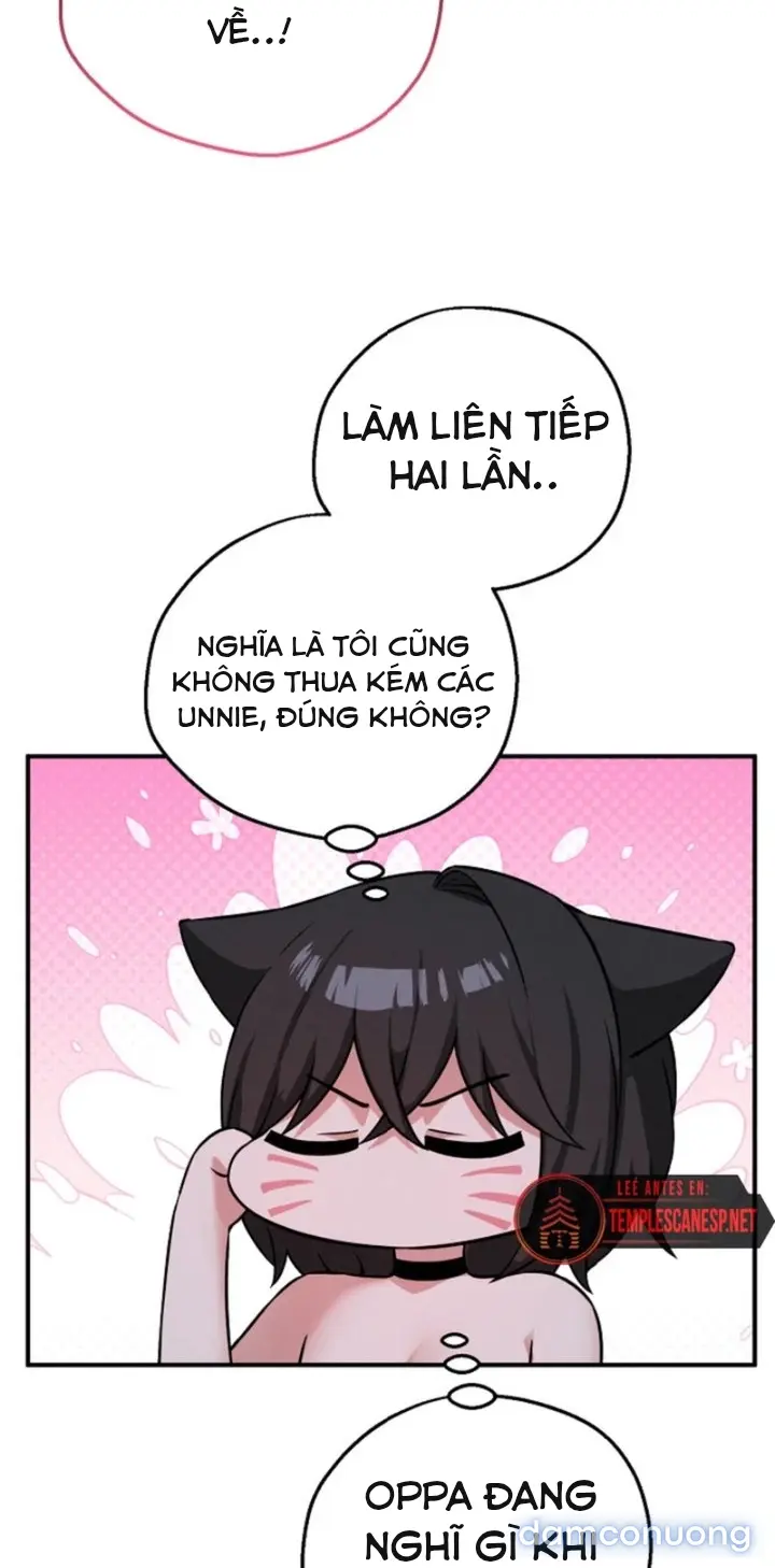 Trò chơi cờ bàn thú vị: 