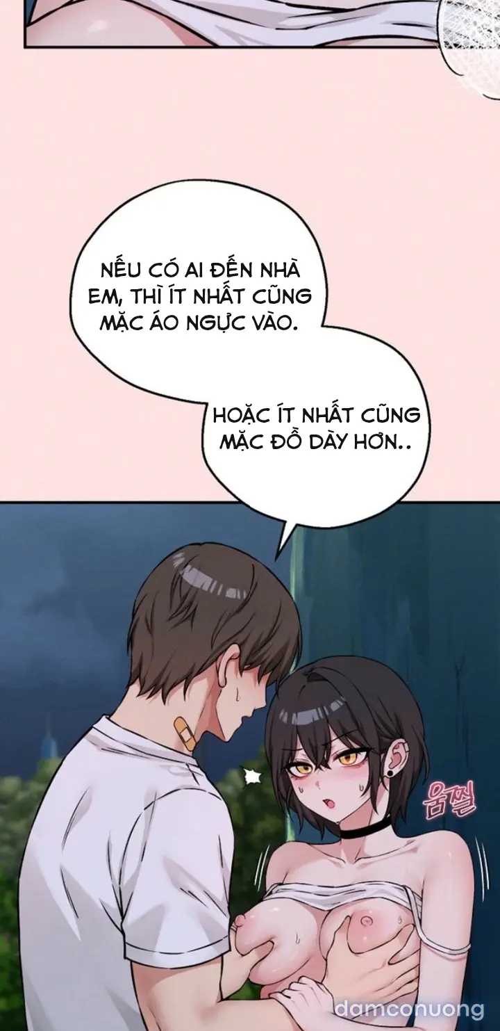 Trò chơi cờ bàn thú vị: 