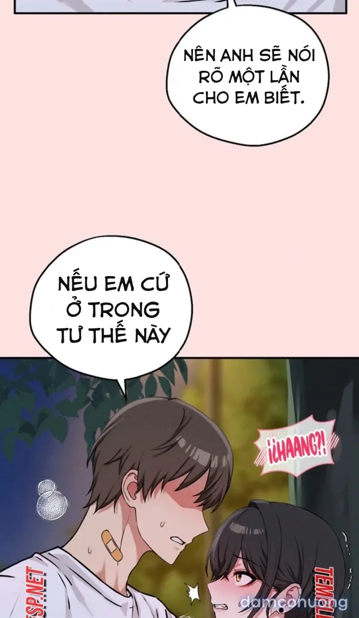 Trò chơi cờ bàn thú vị: 