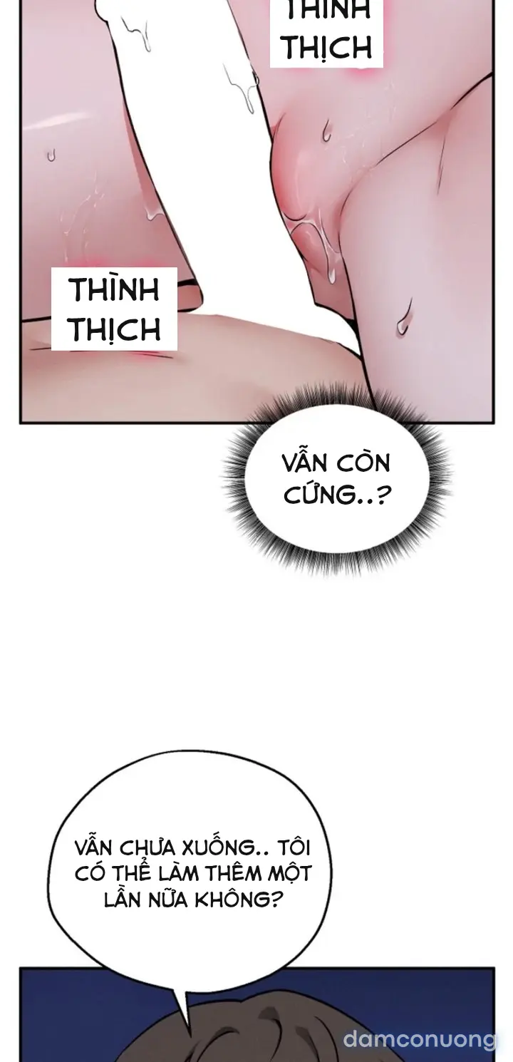 Trò chơi cờ bàn thú vị: 