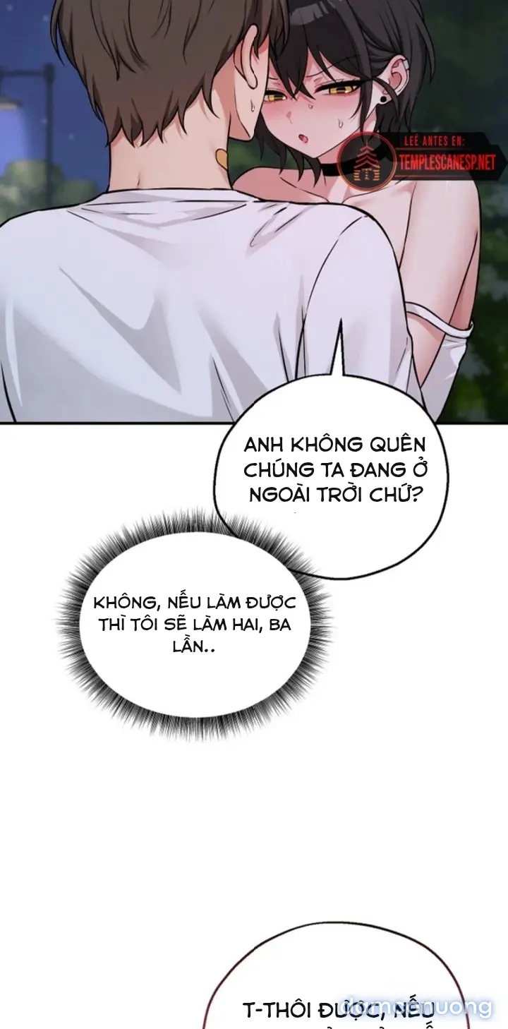 Trò chơi cờ bàn thú vị: 
