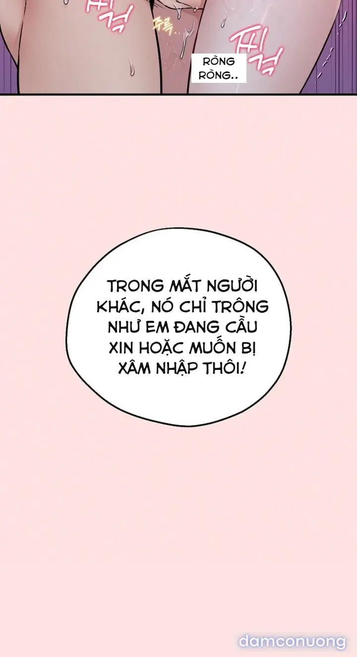 Trò chơi cờ bàn thú vị: 