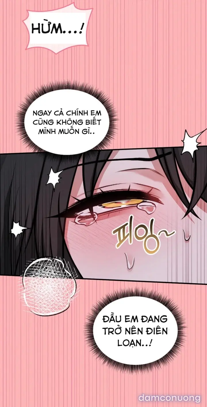 Trò chơi cờ bàn thú vị: 