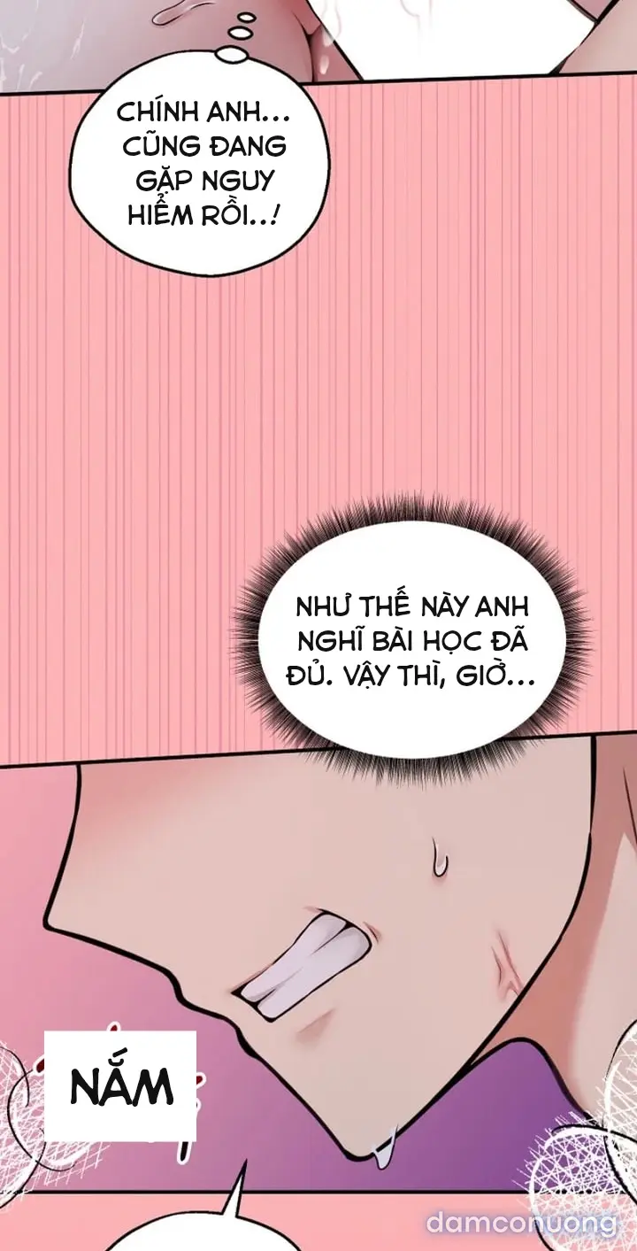 Trò chơi cờ bàn thú vị: 