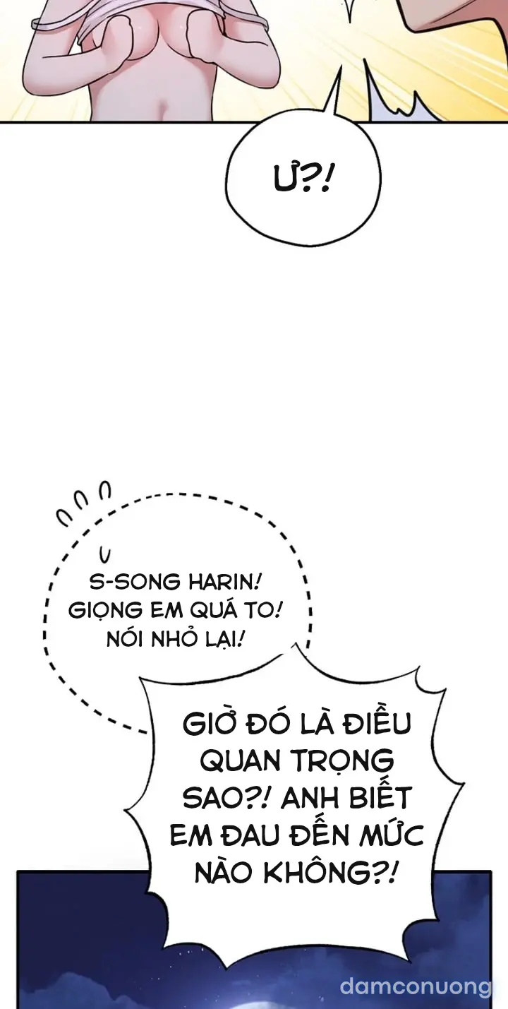 Trò chơi cờ bàn thú vị: 