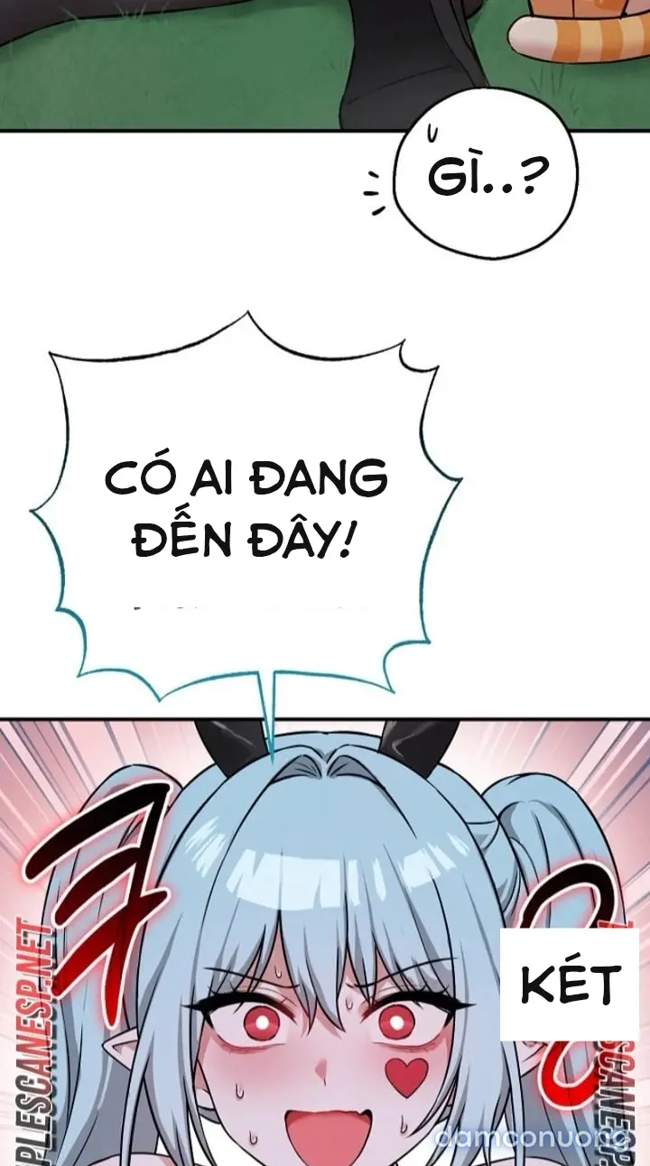 Trò chơi cờ bàn thú vị: 