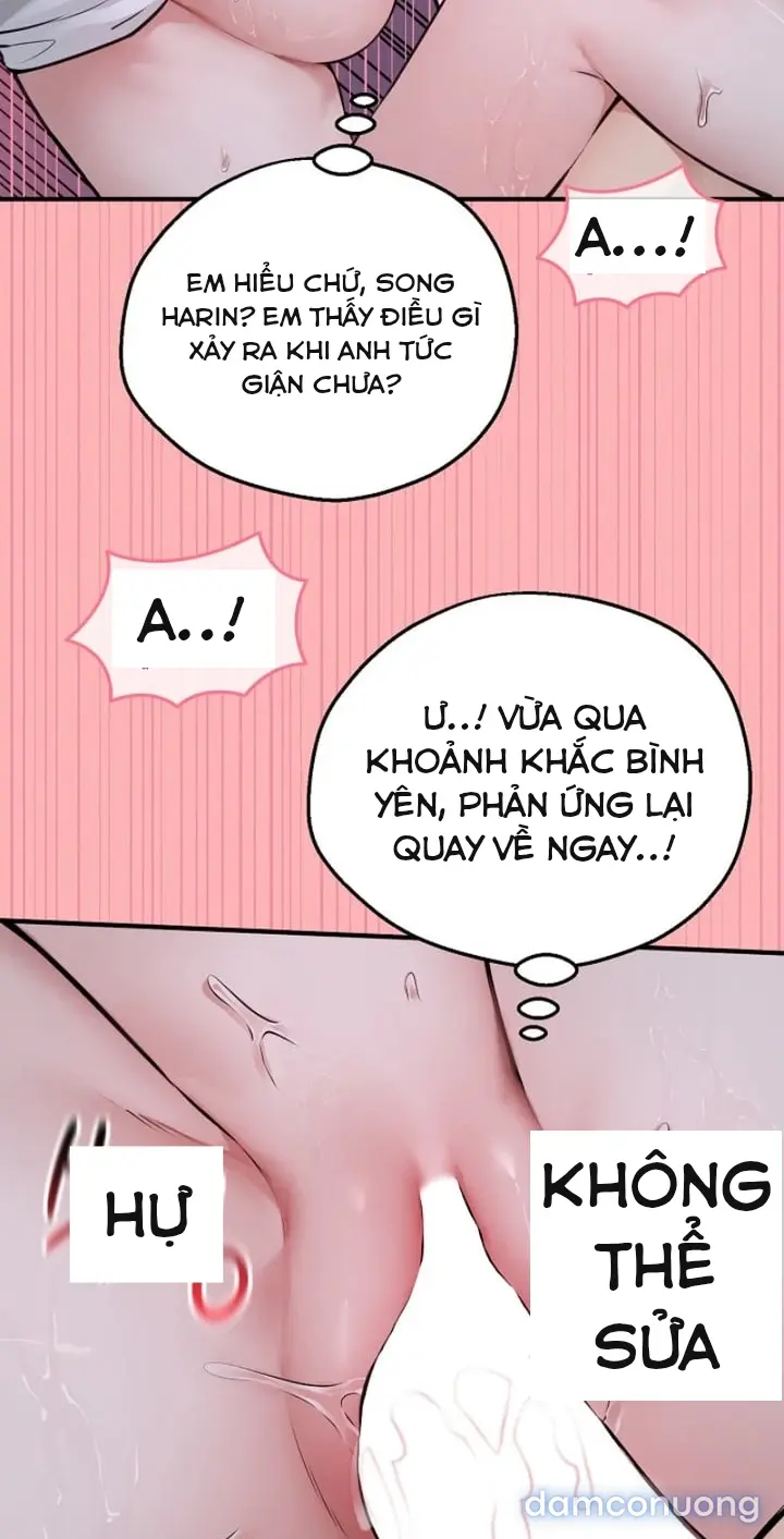 Trò chơi cờ bàn thú vị: 