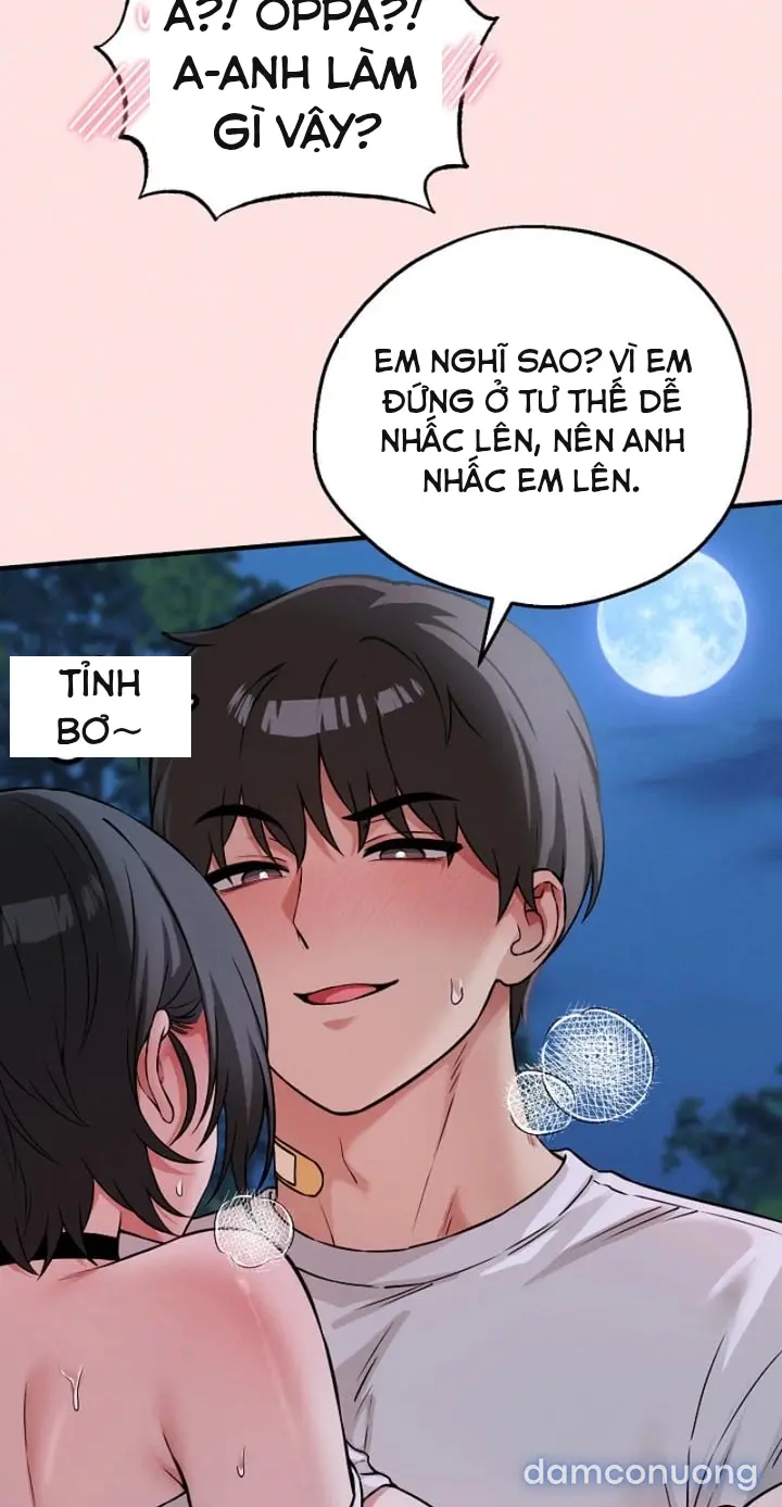Trò chơi cờ bàn thú vị: 