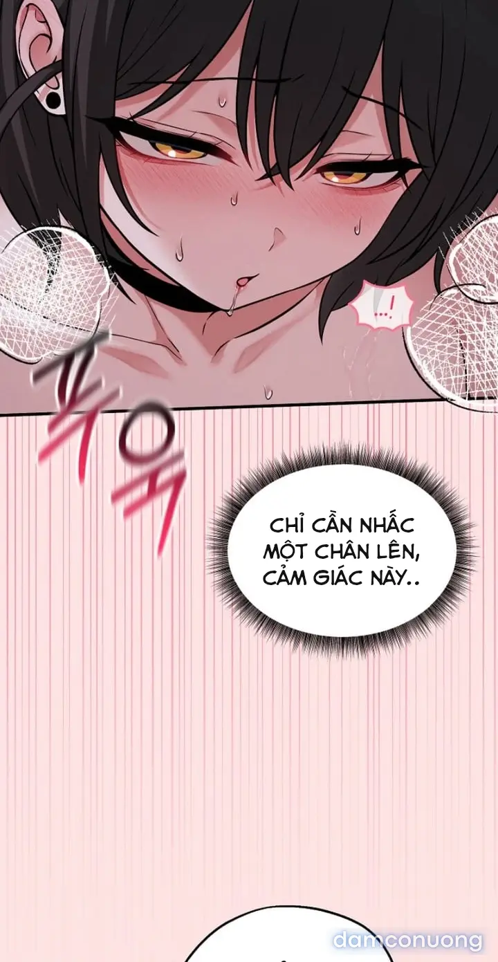 Trò chơi cờ bàn thú vị: 