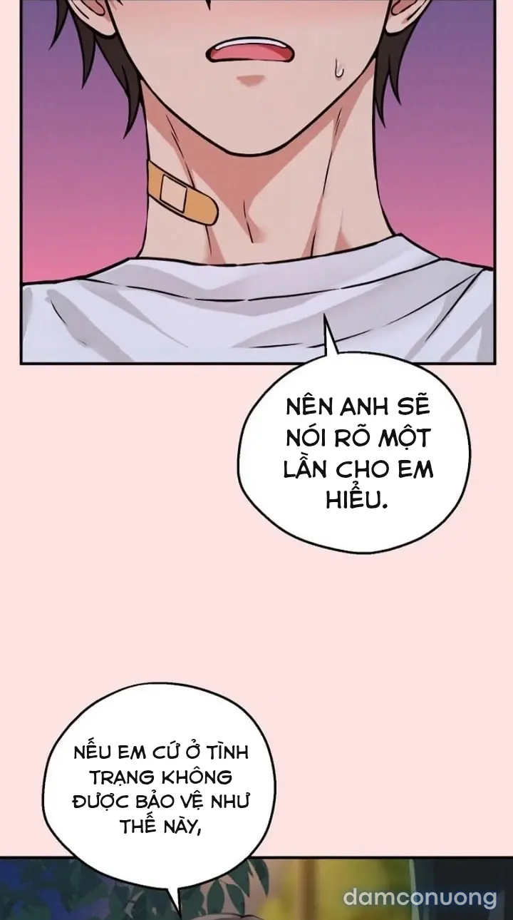 Trò chơi cờ bàn thú vị: 