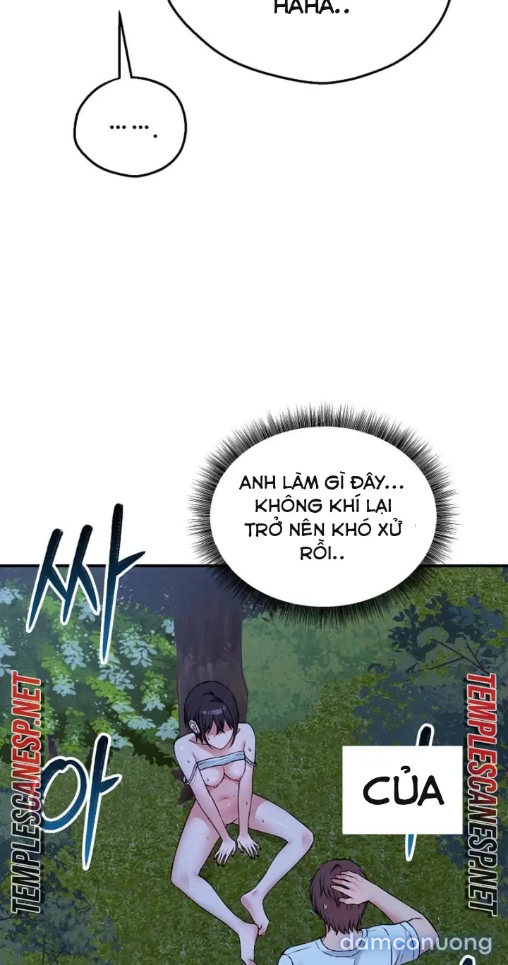 Trò chơi cờ bàn thú vị: 