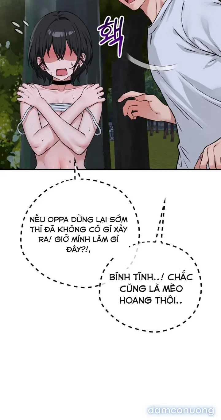 Trò chơi cờ bàn thú vị: 